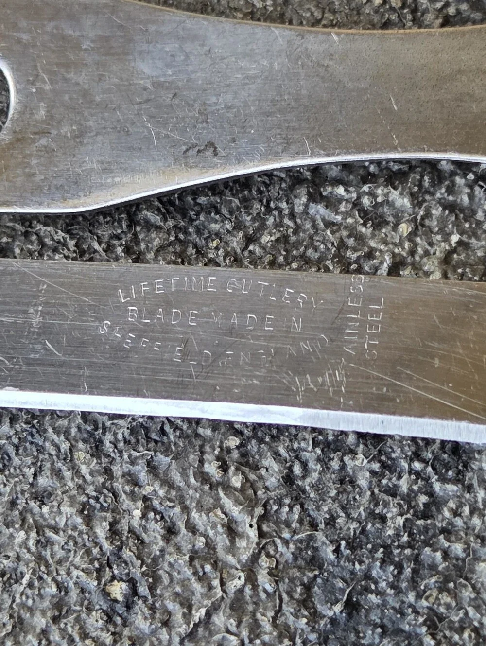 Cornflower Blue Floral Accent Carving Fork And Knife Lifetime Cutlery Sheffield
